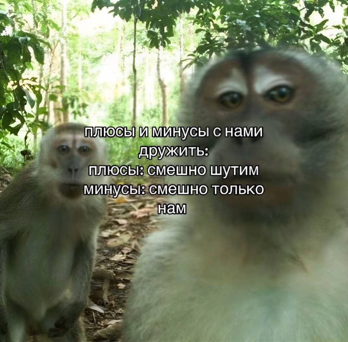 Плюсы и минусы с нами дружить